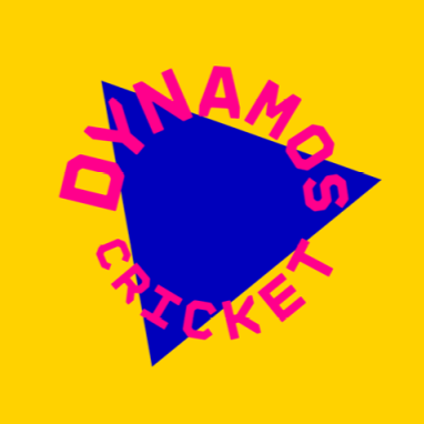 Softball Cricket