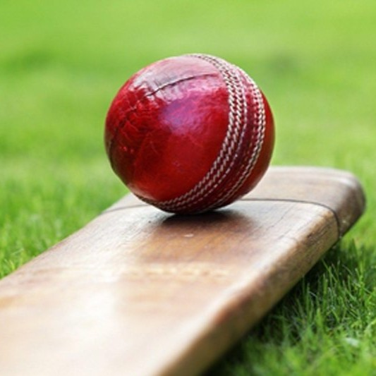 Junior Hardball Cricket